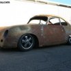 rat 356.jpg